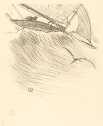 The Terns