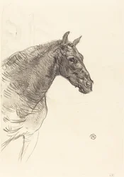 Old Horse