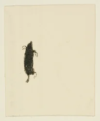 Tailpiece from Au Pied du Sinaï