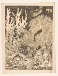 On the Coral Bottom