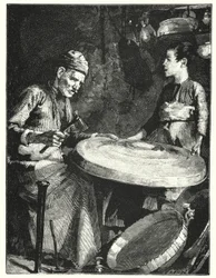 An Eastern coppersmith