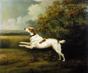 A Springer Spaniel in a Landscape