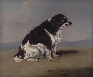 The Duchess of York