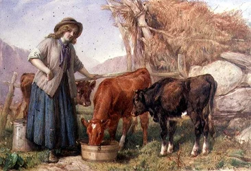Feeding Time