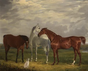 Three Horses of the 2nd Lord de Tabley and His Dog, Vic