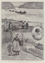 Sketches in Newfoundland