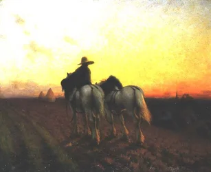 Returning at sunset