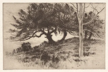 Near the Sea