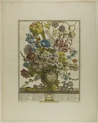 March, from Twelve Months of Flowers