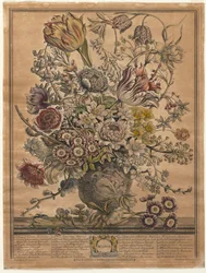 Twelve Months of Flowers: March