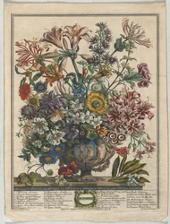 Twelve Months of Flowers: October, 1730