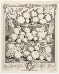 Twelve Months of Fruit: August