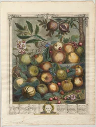 Twelve Months of Fruit: May