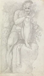 A Hermaphrodite