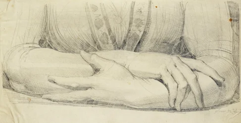 Study of a Woman
