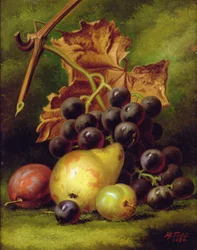 Still Life