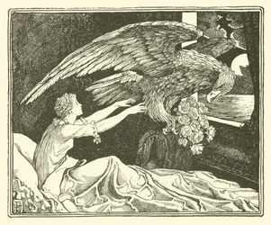Rosanella