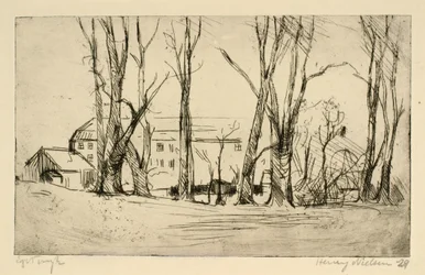 Hospital-like building seen between large trees