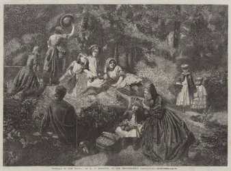 Holiday in the Woods