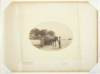 On the Slopes of Cader-Idris, The Last Load of Hay