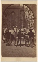 Three Men Posing with Three White Horses