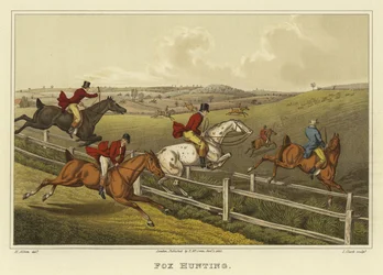 Fox Hunting