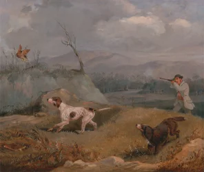 Grouse Shooting