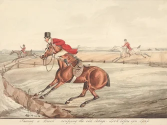 Qualified Horses and Unqualified Riders: Facing a Brook, Verifying the Old Adage, Look Before You Leap