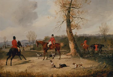 The Meet