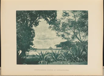 Jetawanarama Dagaba at Anuradhapura