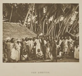 The Auction