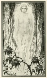 The White Devil by John Webster: The White Devil