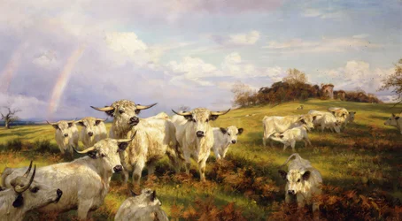 Wild Cattle of Chartley, Chartley Castle Beyond