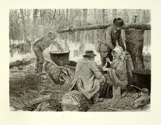 Cooking a Camp Dinner