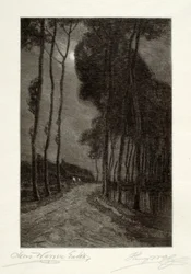 Moonlight in Holland