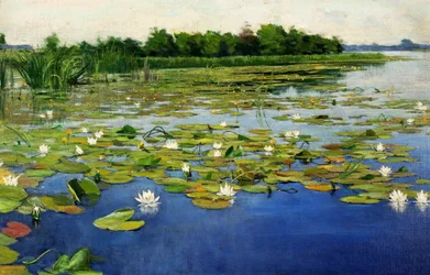Water Lilies