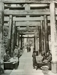 An Avenue of Torii at Inari