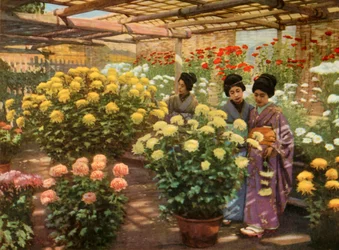At the Chrysanthemum Show