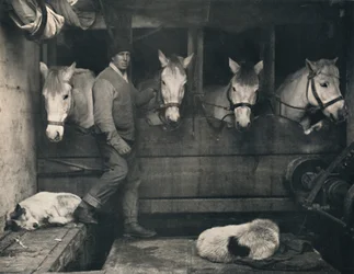 Captain Oates on the Terra Nova with the Siberian Ponies