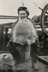 D. G. Lillie, with Some of the Siliceous Sponges