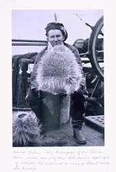 David Lille, Biologist of the 