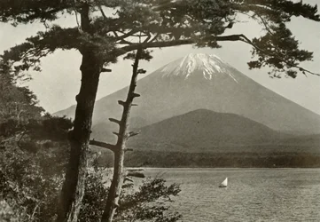 Fuji from Lake Shoji