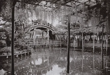 Kameido