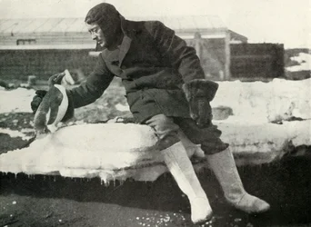 Lieut. Rennick and a Friendly Penguin, 1911, 1913