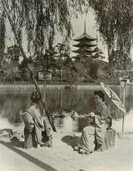 The Nara Pagoda