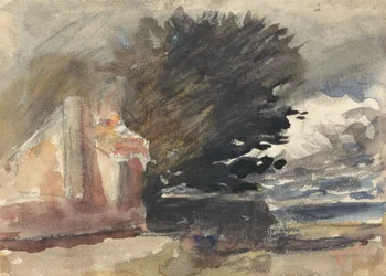 Cottage under a Tree