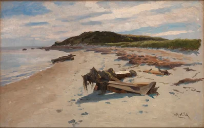 Cape Cod, Beach