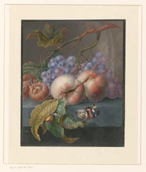 Fruits with a Butterfly and a Snail