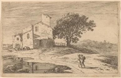 Large Tree near a House
