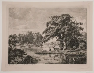 Scene in Hellebæk Forest